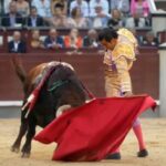 Diego San Román: Confirmación en Las Ventas